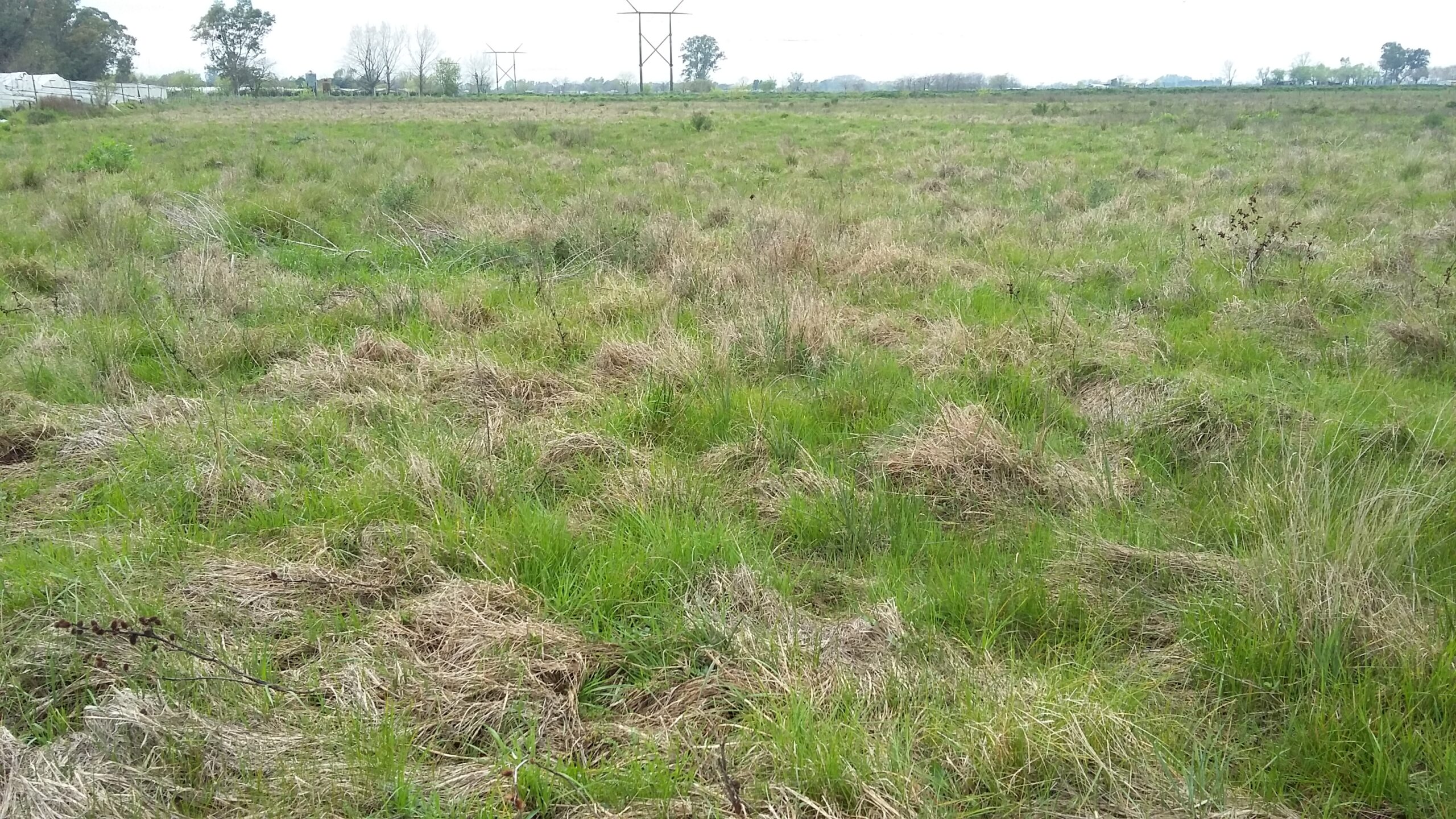 Quinta 4 hectáreas zona hortícola La Plata