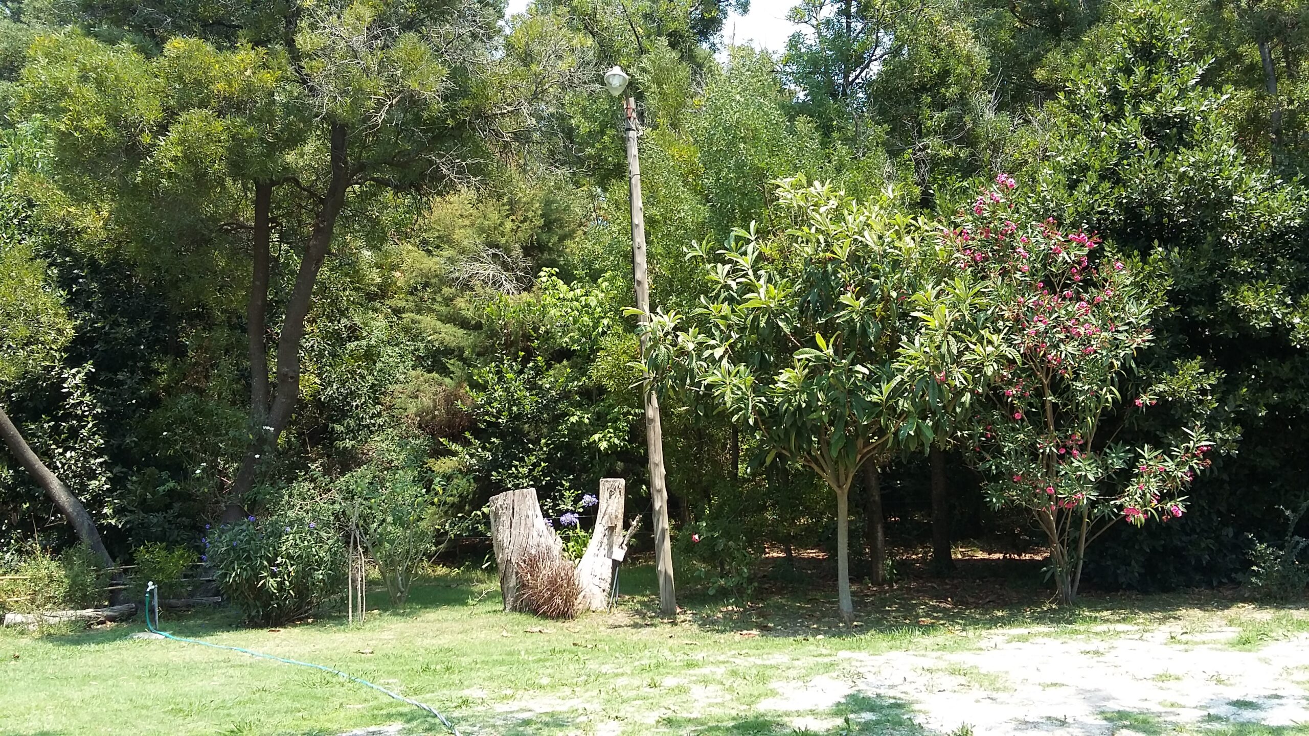 CASA QUINTA en Venta Verónica – Punta Indio – 6760 m2.