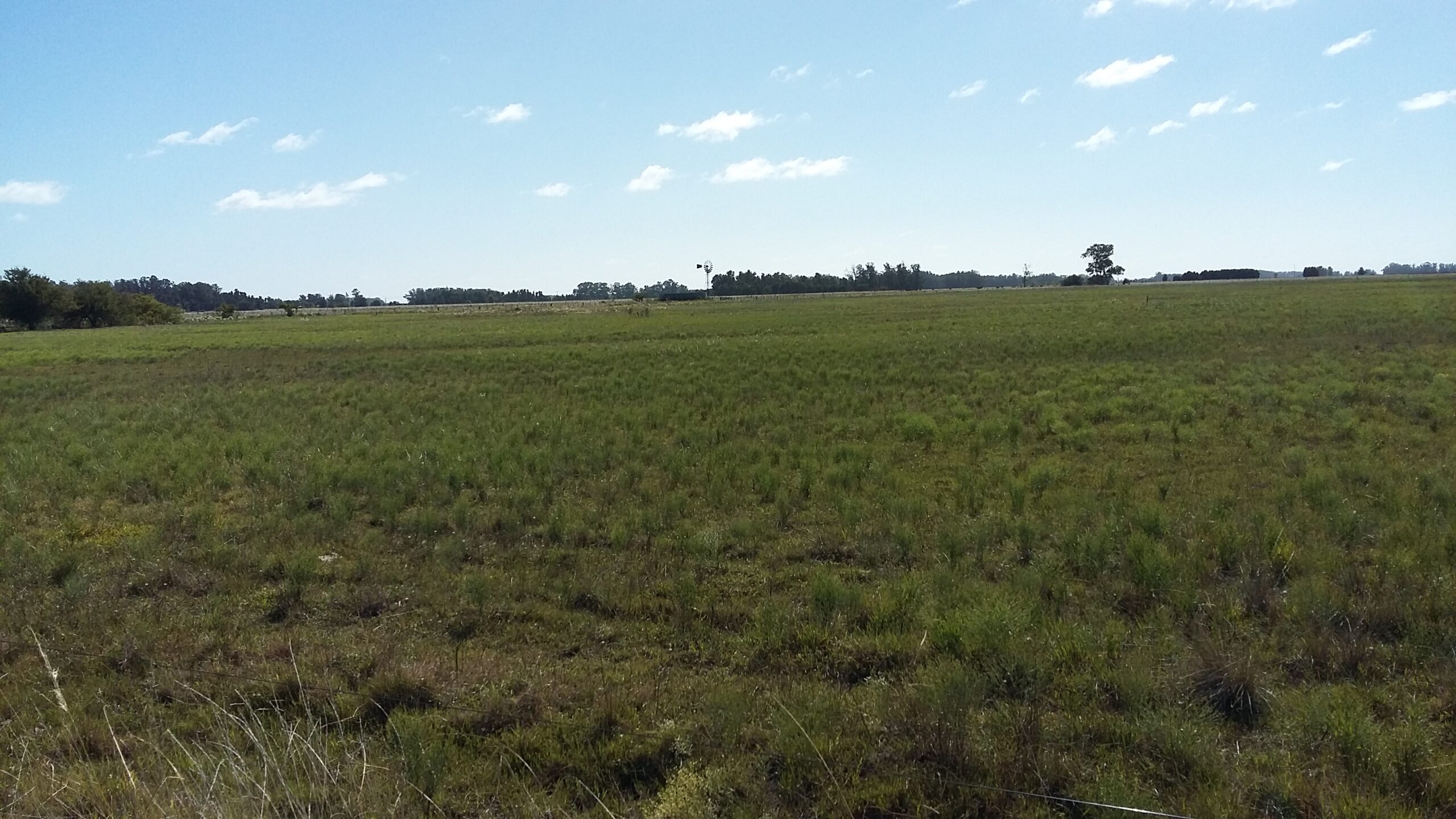 CAMPO en Venta Punta Indio 12,5 hectáreas