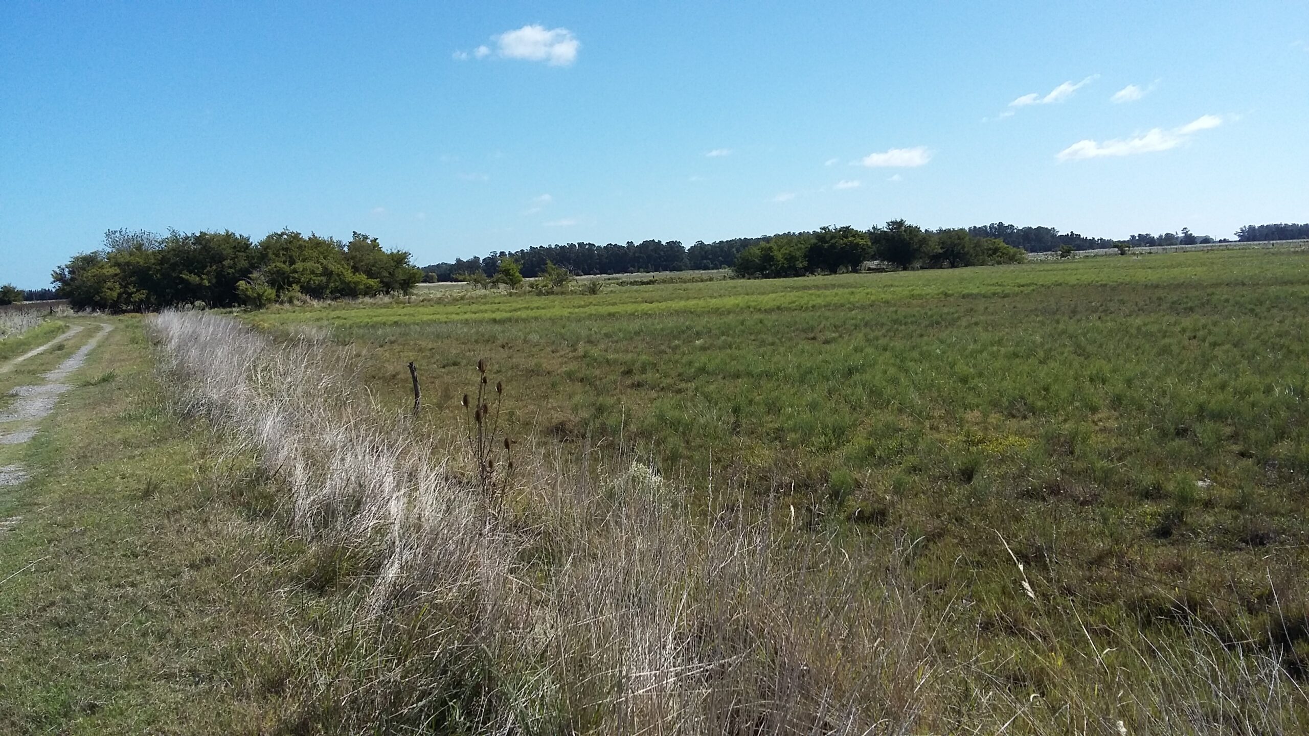 CAMPO en Venta Punta Indio 12,5 hectáreas