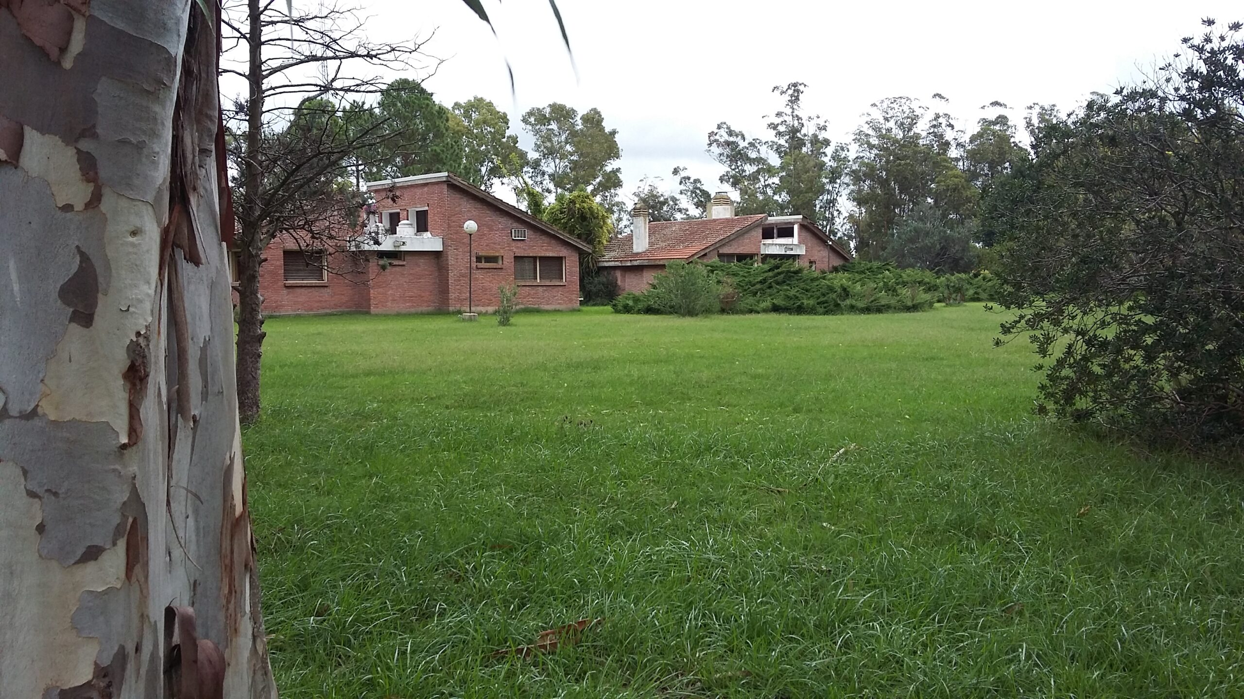 CAMPO GANADERO-CABAÑA-HARAS en Venta en Buenos Aires