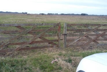 Campo 93 Hectáreas sobre Ruta Punta Indio – Buenos Aires
