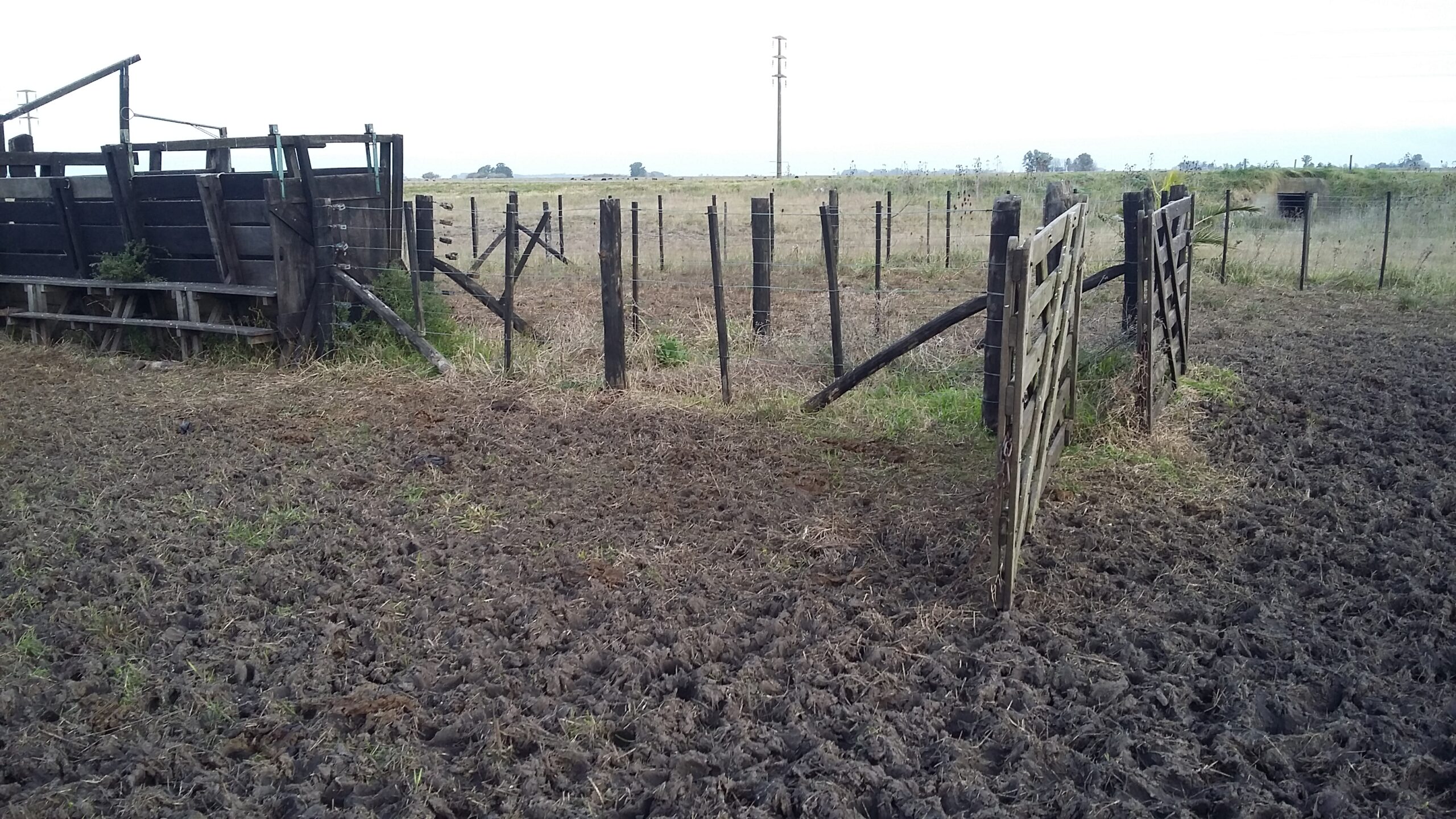 Campo 93 Hectáreas sobre Ruta Punta Indio – Buenos Aires