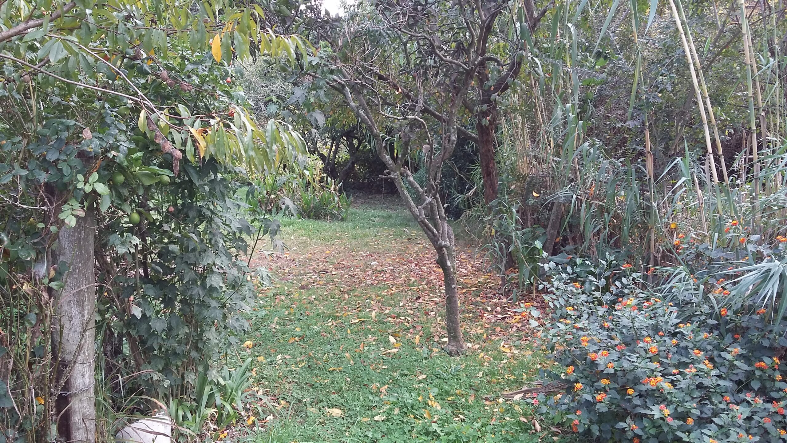 Casa en Venta en Pipinas – Punta Indio