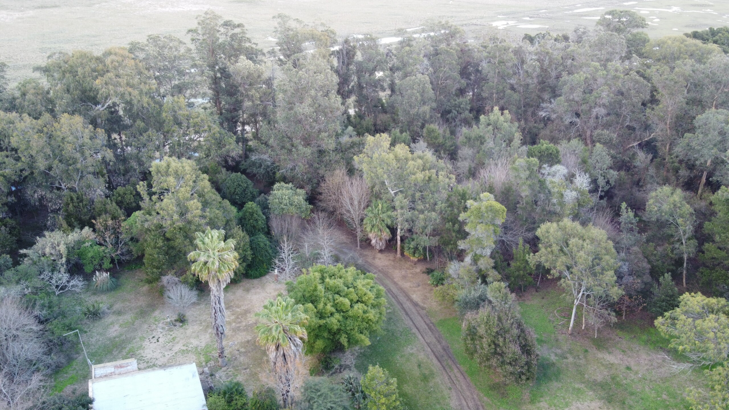 CAMPO en Venta en Punta Indio-Impresionante Arboleda-
