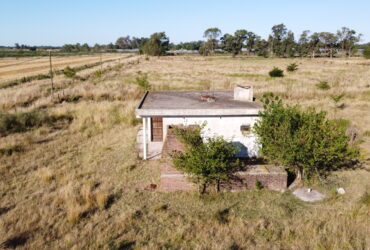 Quinta 4 hectáreas zona hortícola La Plata