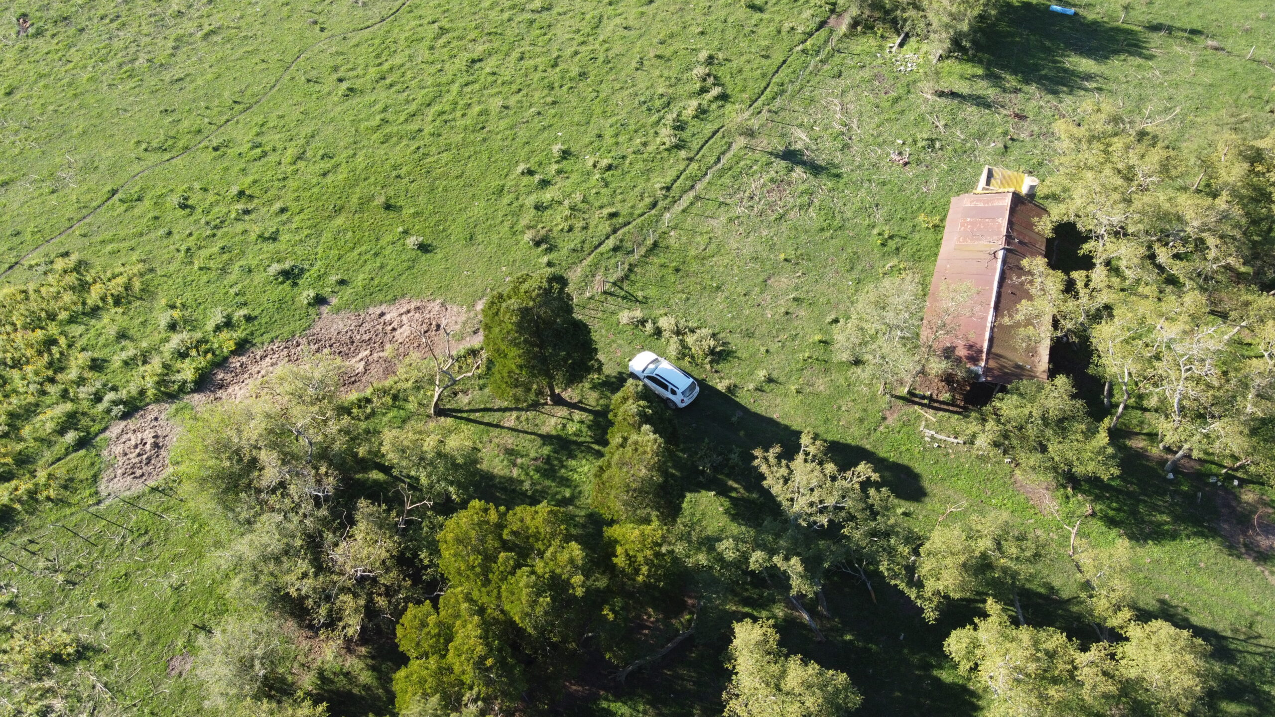 CAMPO en Venta en Lezama 91 hectáreas