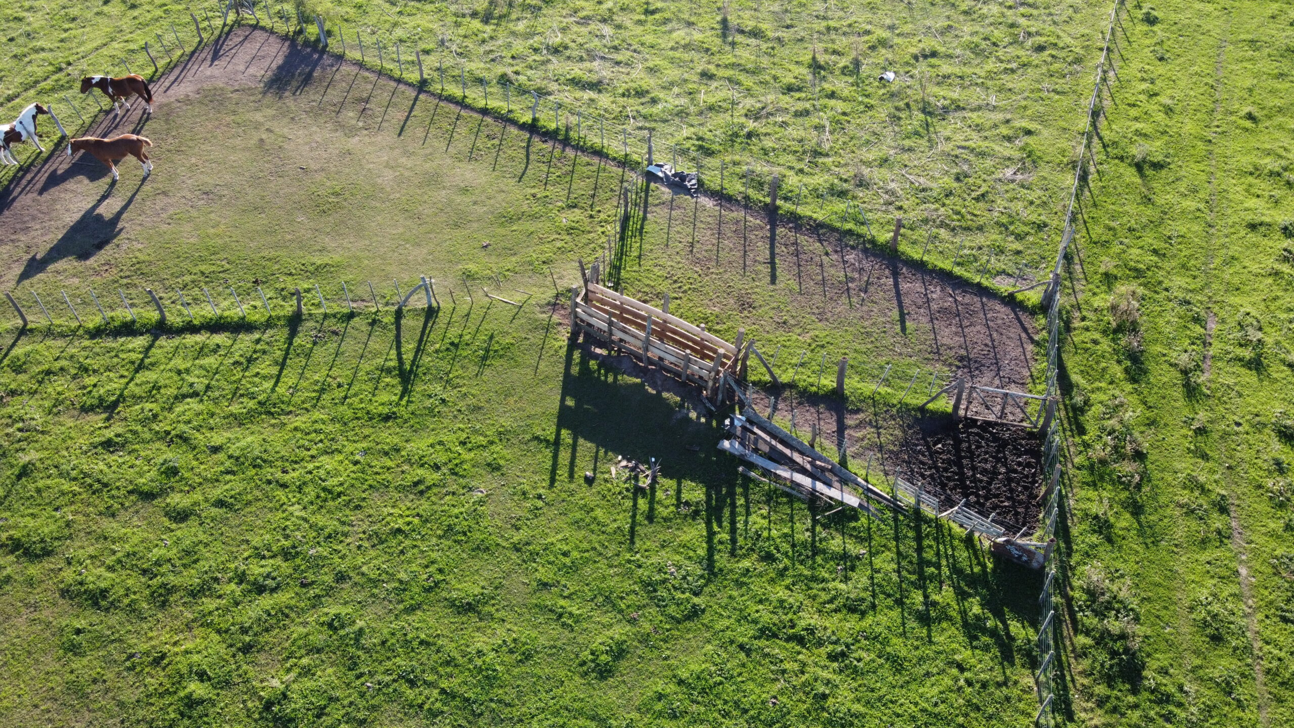 CAMPO en Venta en Lezama 91 hectáreas