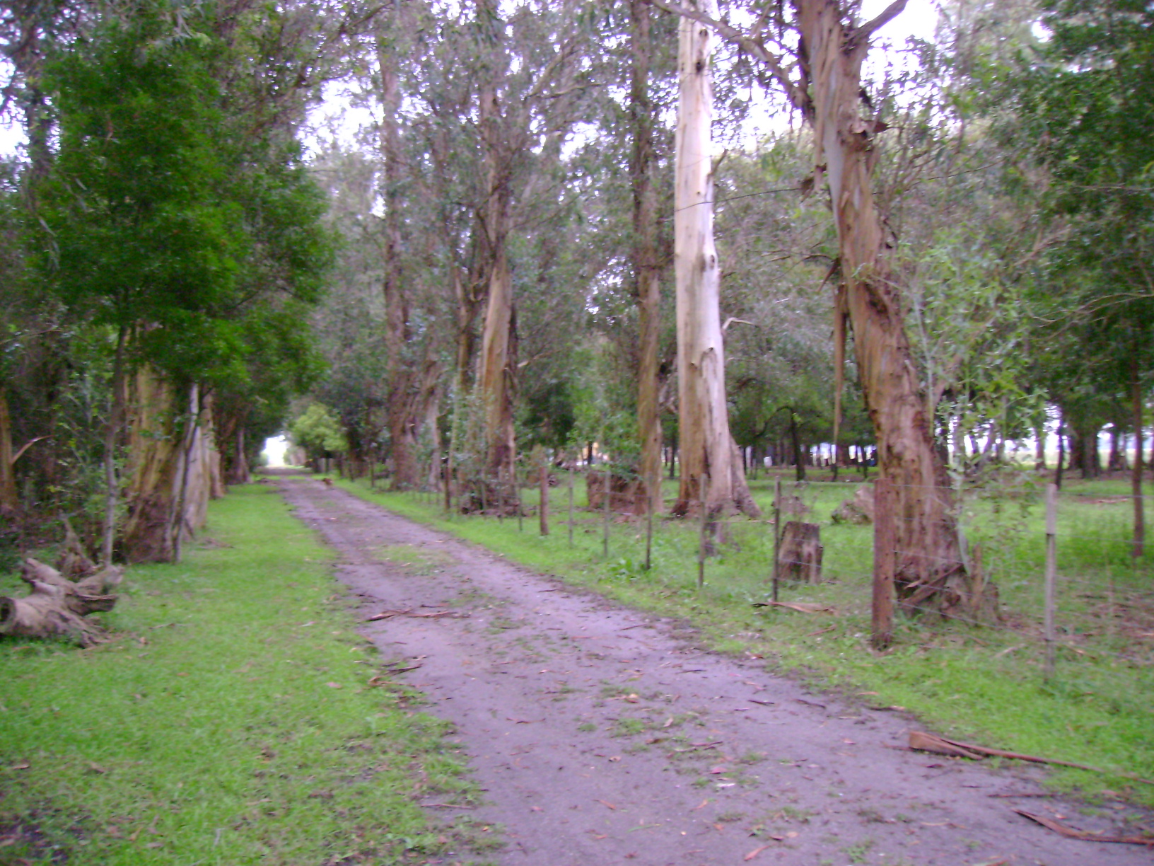 Campo en Venta en Verónica – Punta Indio – sobre Ruta