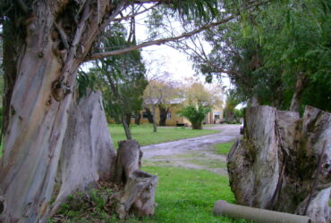 Campo en Venta en Verónica – Punta Indio – sobre Ruta