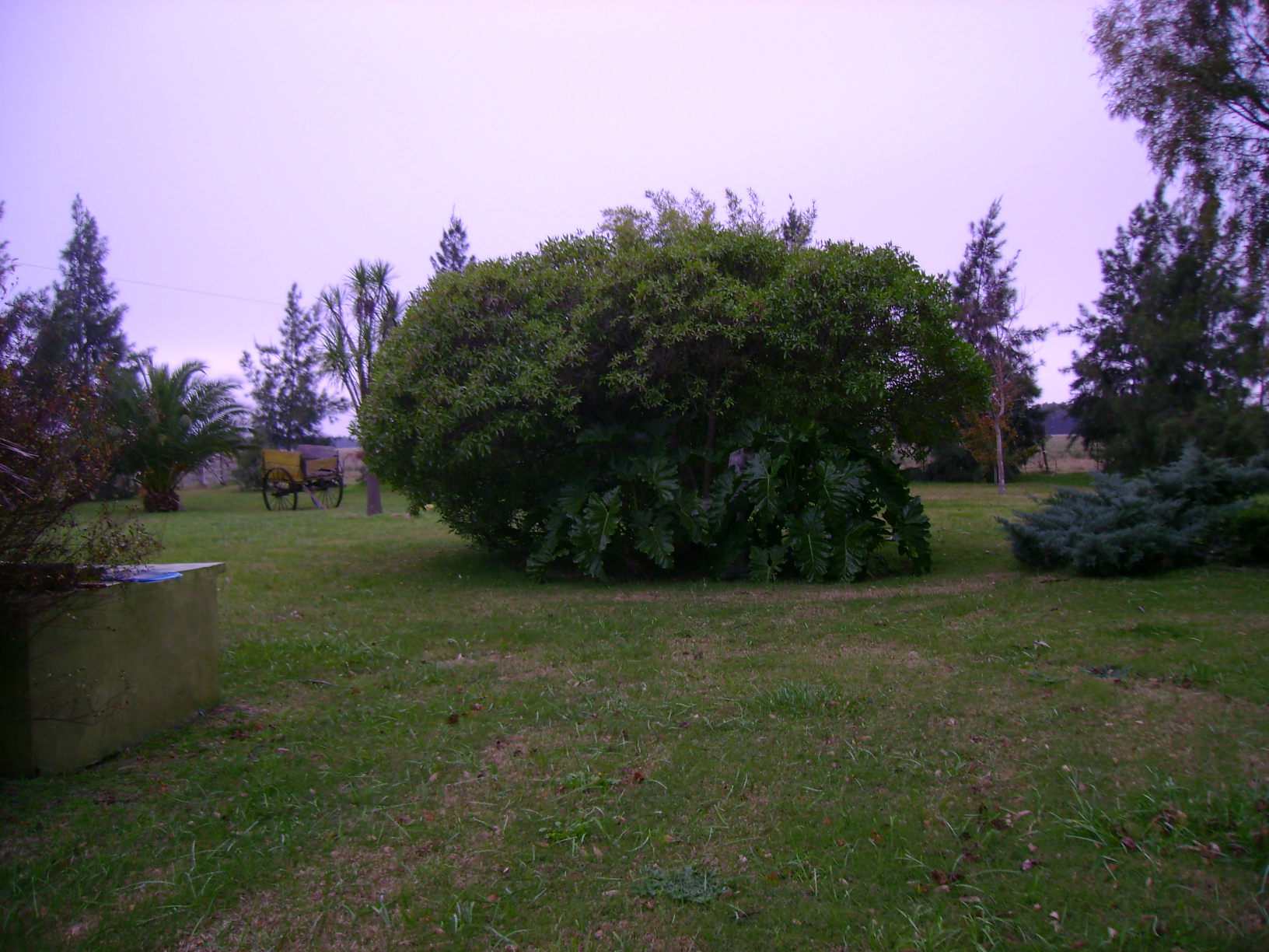 Campo en Venta en Verónica – Punta Indio – sobre Ruta