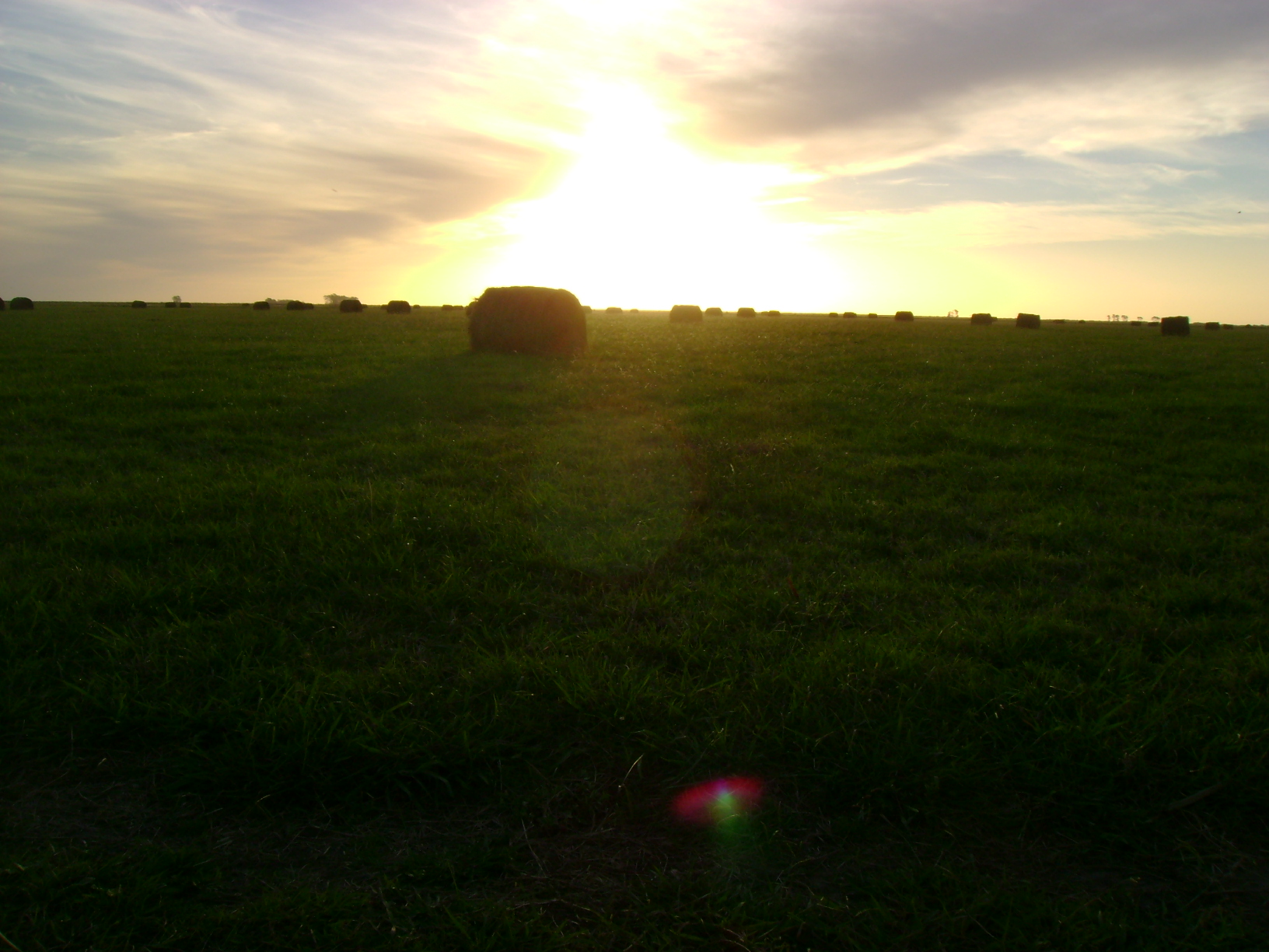 Campo 183 Hectáreas en Chascomús – 70% Agrícola