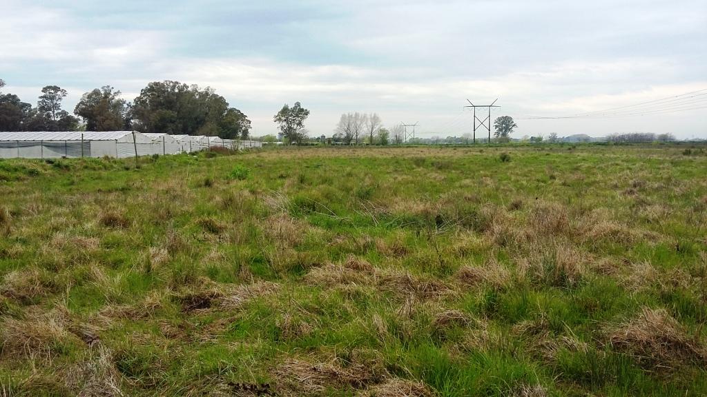Quinta 4 hectáreas zona hortícola La Plata