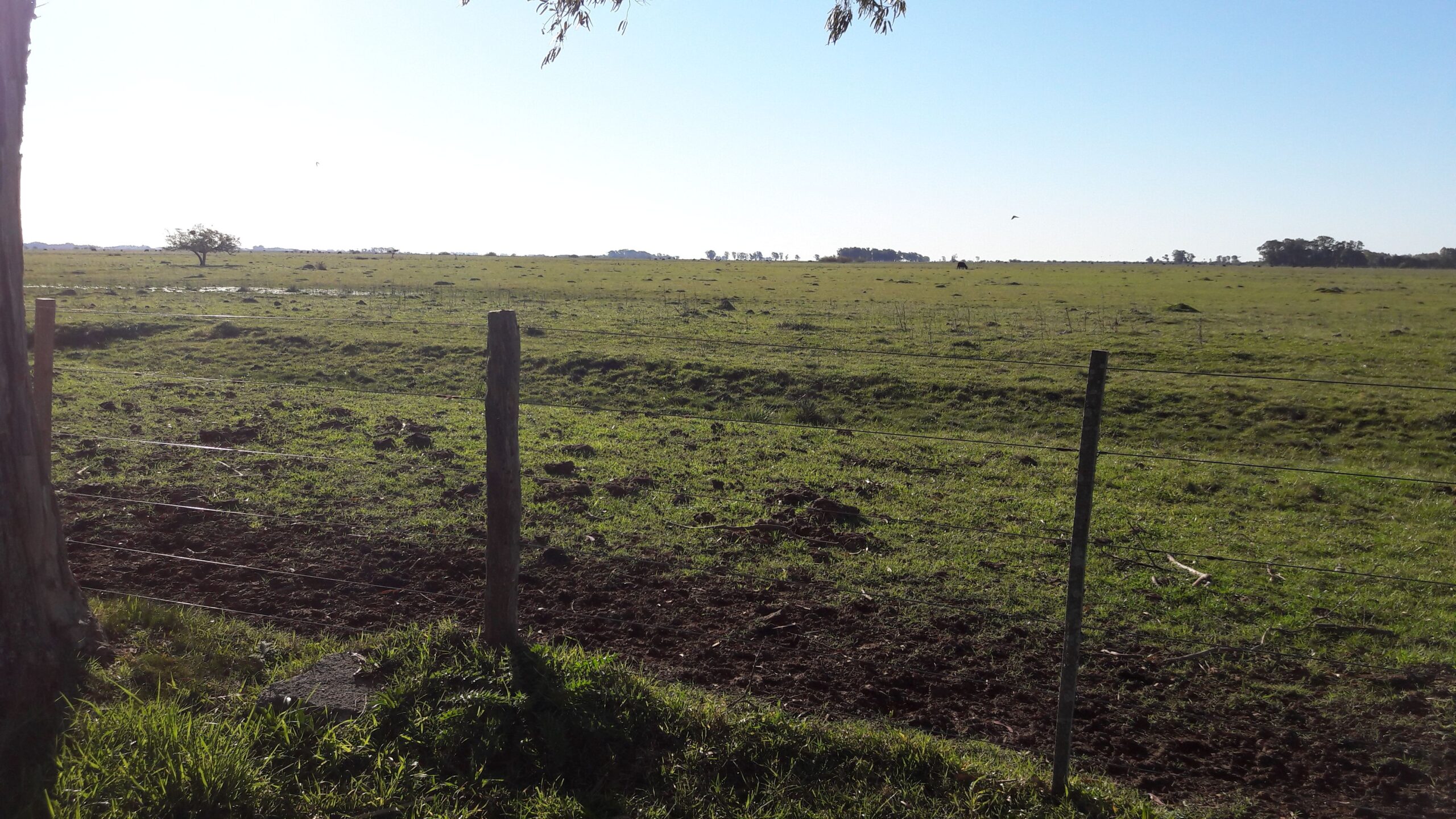 Campo en Venta en Punta Indio