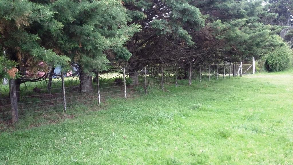 CAMPO en Venta 84 has en Castelli