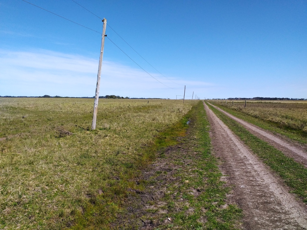 Campo 38 Hectáreas en Venta en Verónica – Punta Indio