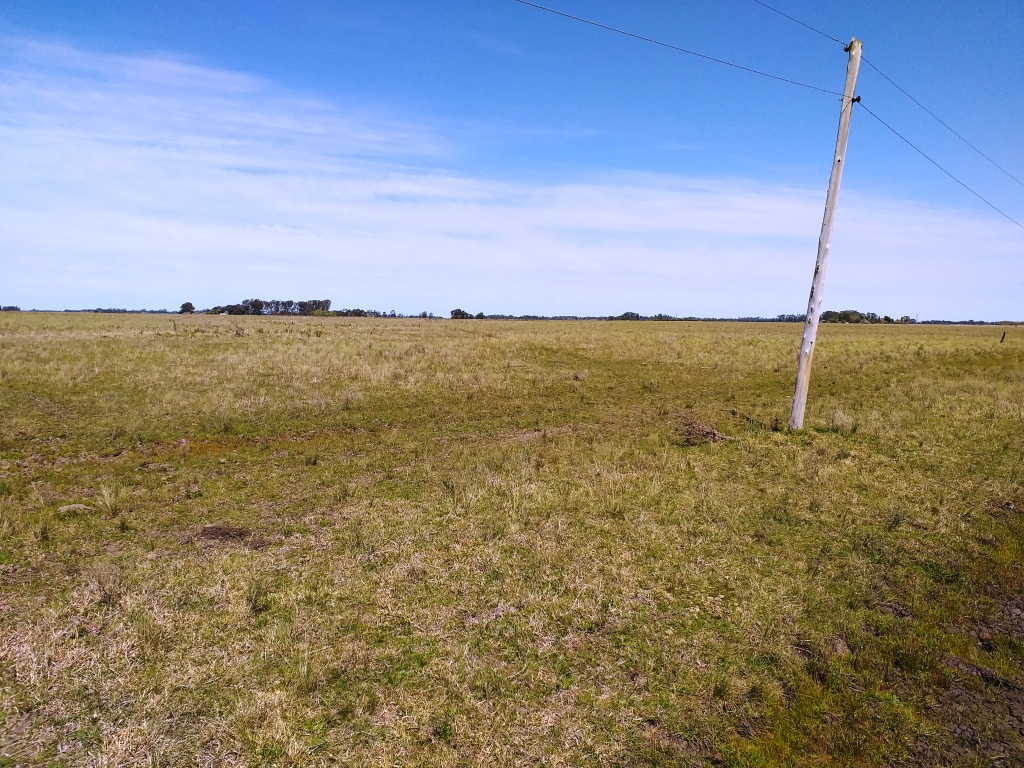 Campo 38 Hectáreas en Venta en Verónica – Punta Indio