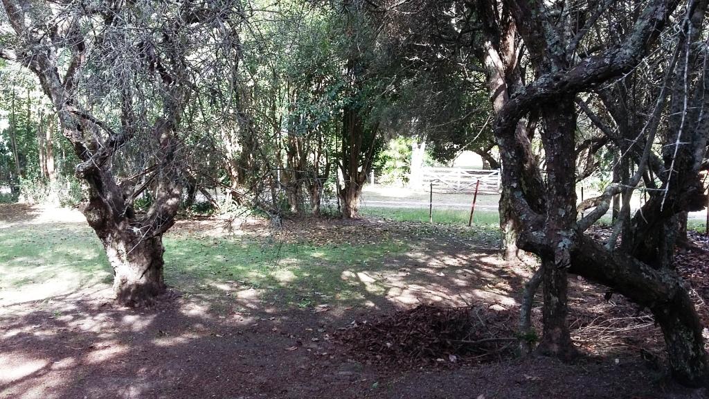 Fracción 1900 metros con mejoras en Punta Indio