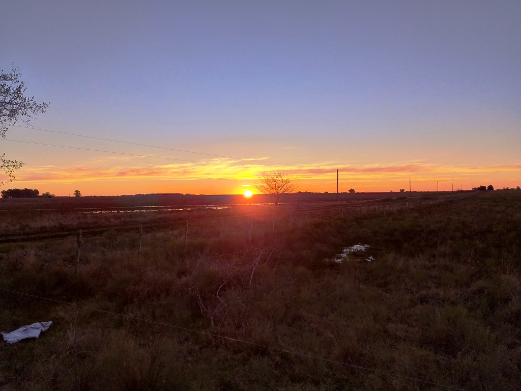 Campo en Venta Punta Indio – 115 hectáreas