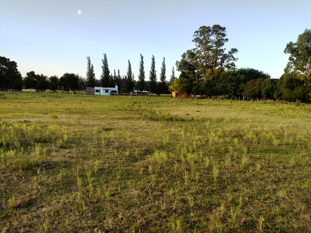 Chacra en Venta – 6 Hectáreas en Verónica – Punta Indio