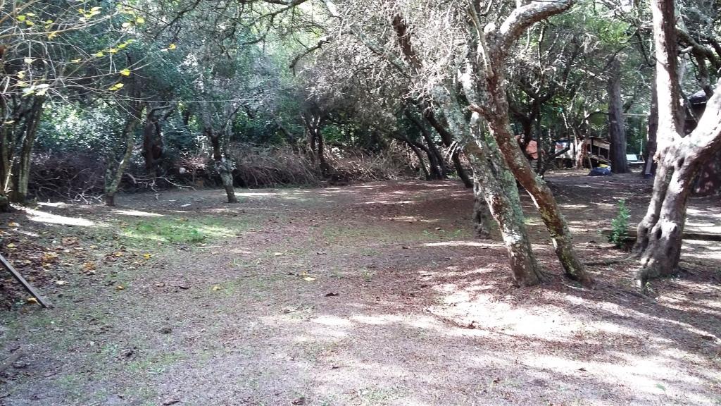 Fracción 1900 metros con mejoras en Punta Indio