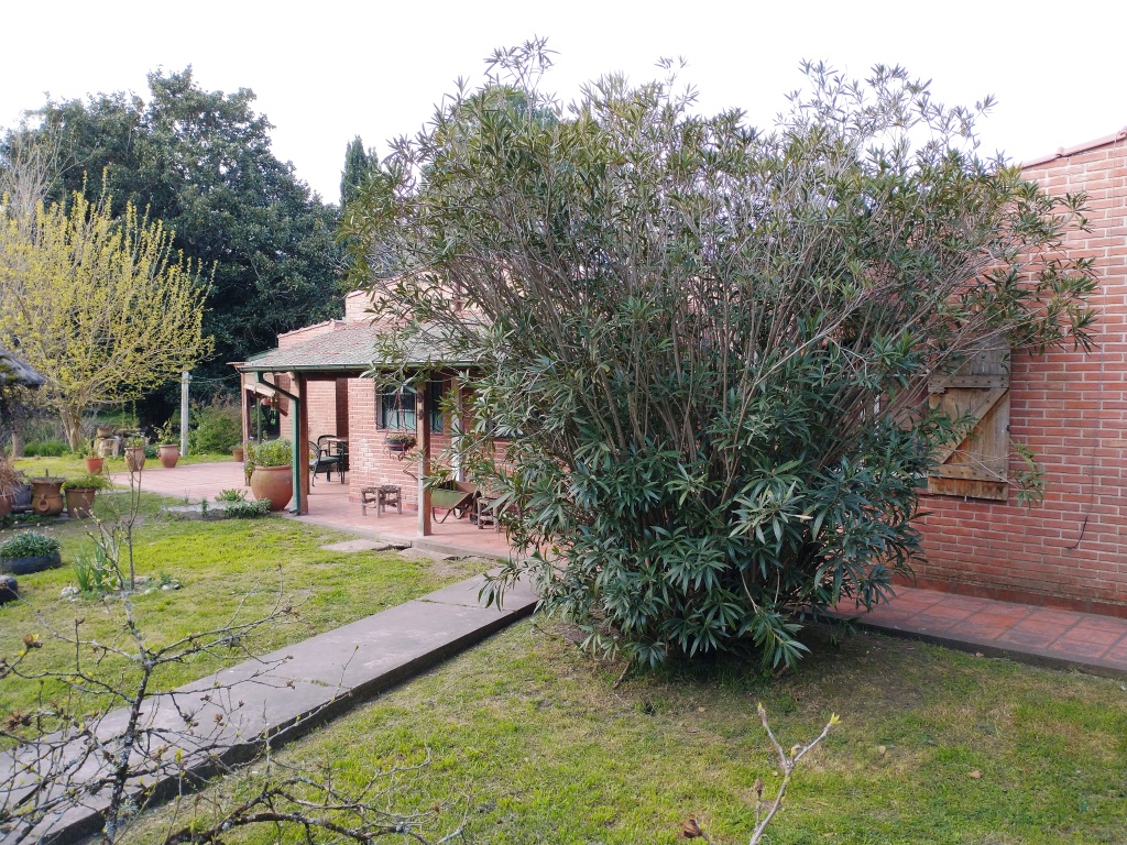 Casa Quinta en Venta Punta Indio – 6000 m2 cerca del Río