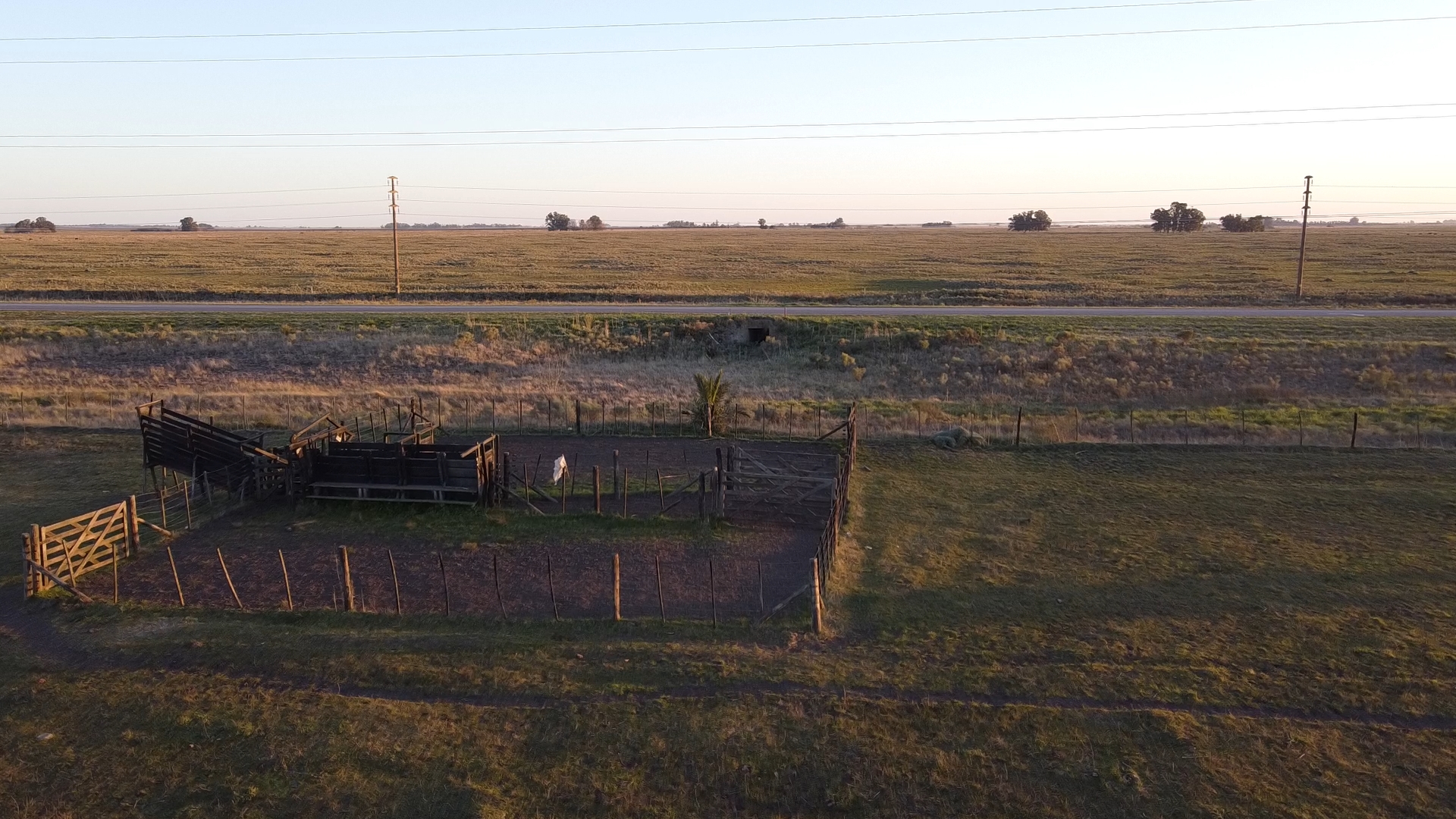 Campo 93 Hectáreas sobre Ruta Punta Indio – Buenos Aires