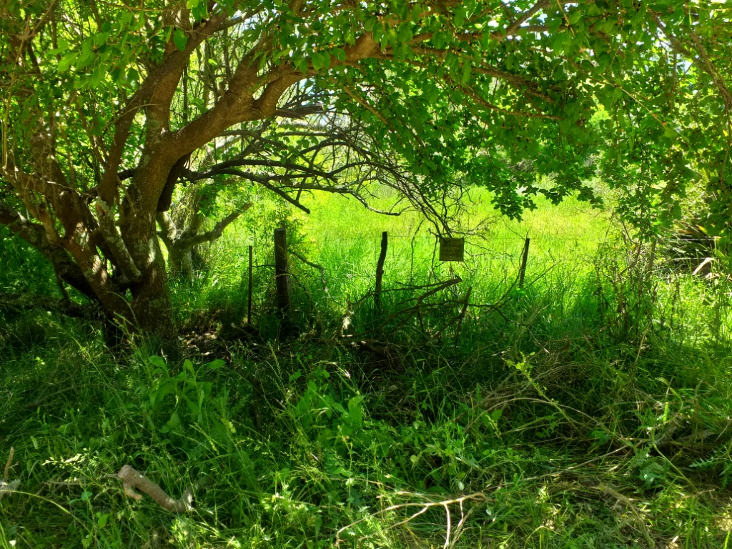 FRACCIÓN en Punta del Indio – Zona Turística