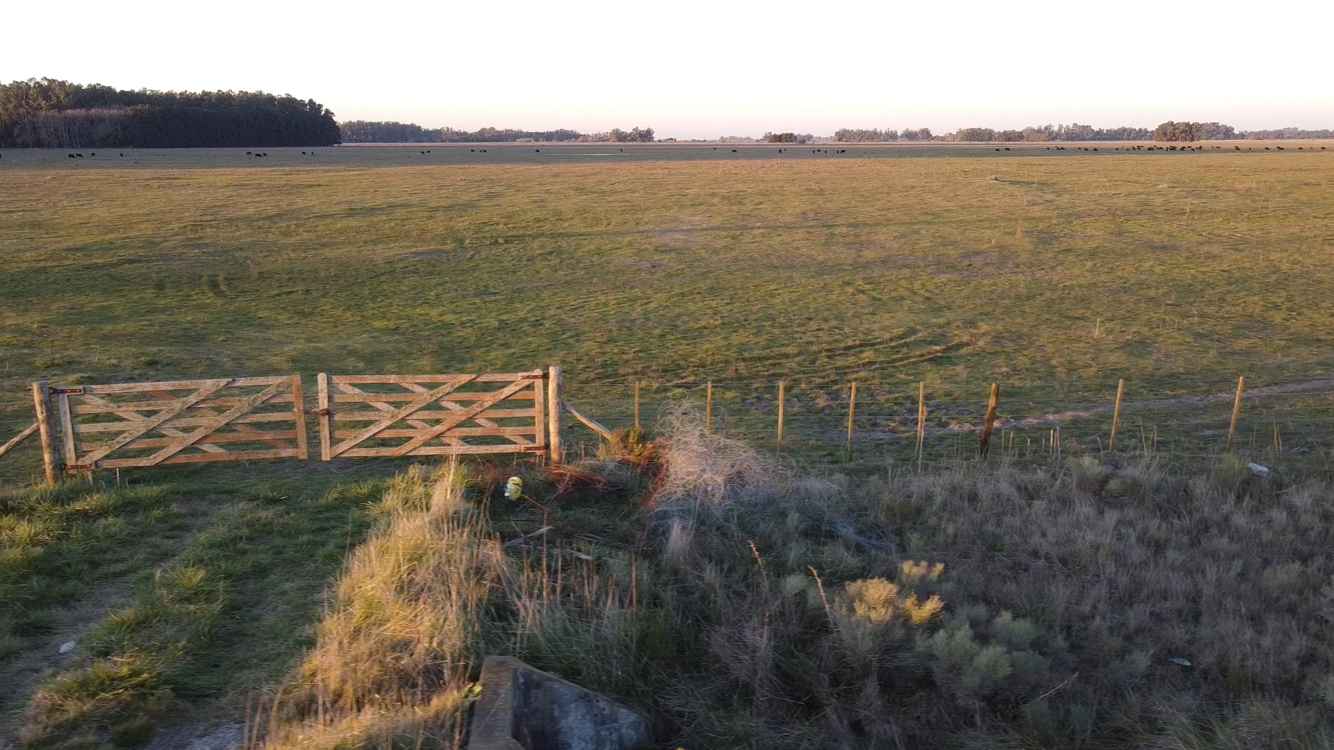 Campo 93 Hectáreas sobre Ruta Punta Indio – Buenos Aires