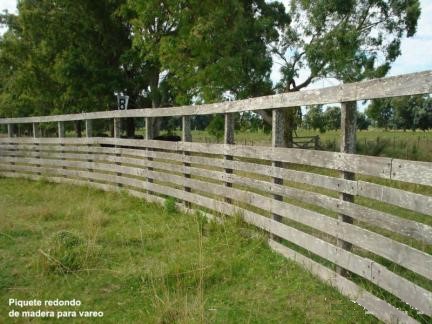 CAMPO GANADERO-CABAÑA-HARAS en Venta en Buenos Aires