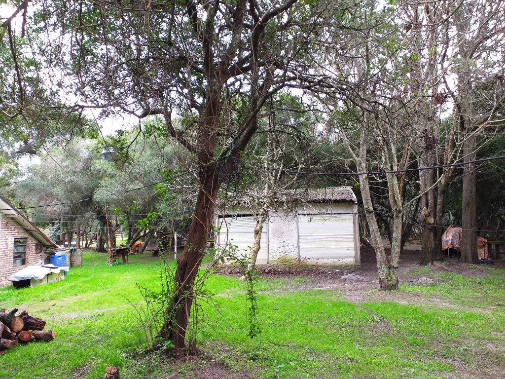 Fracción 1900 metros con mejoras en Punta Indio
