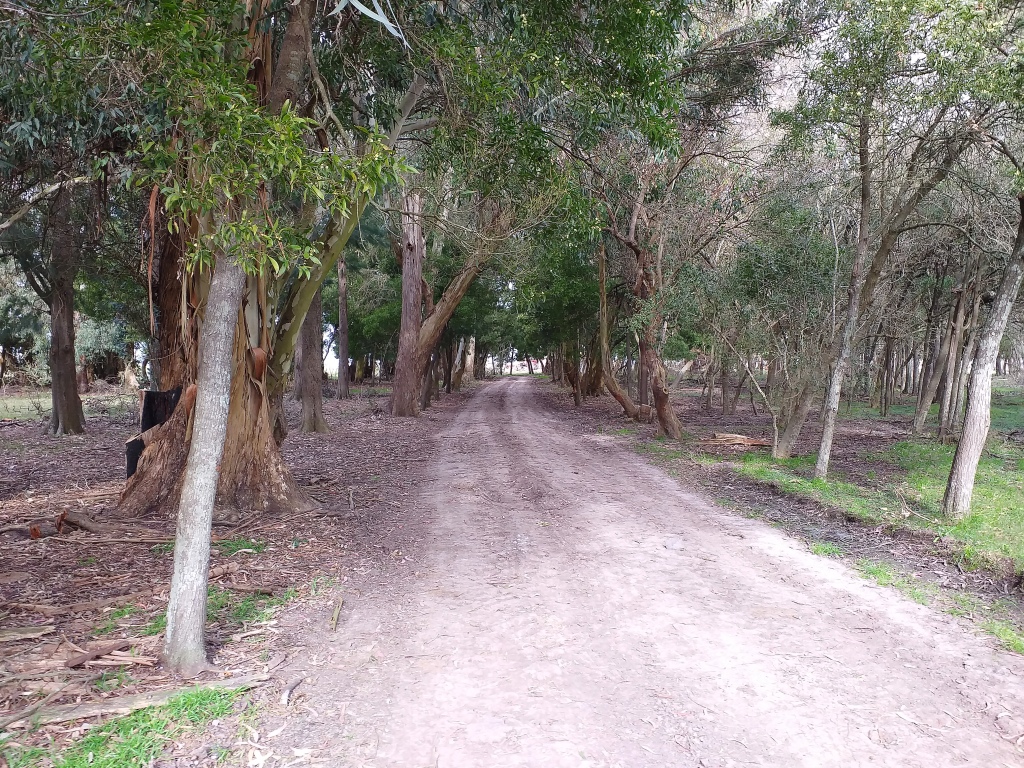 Campo en Venta Punta Indio – 115 hectáreas