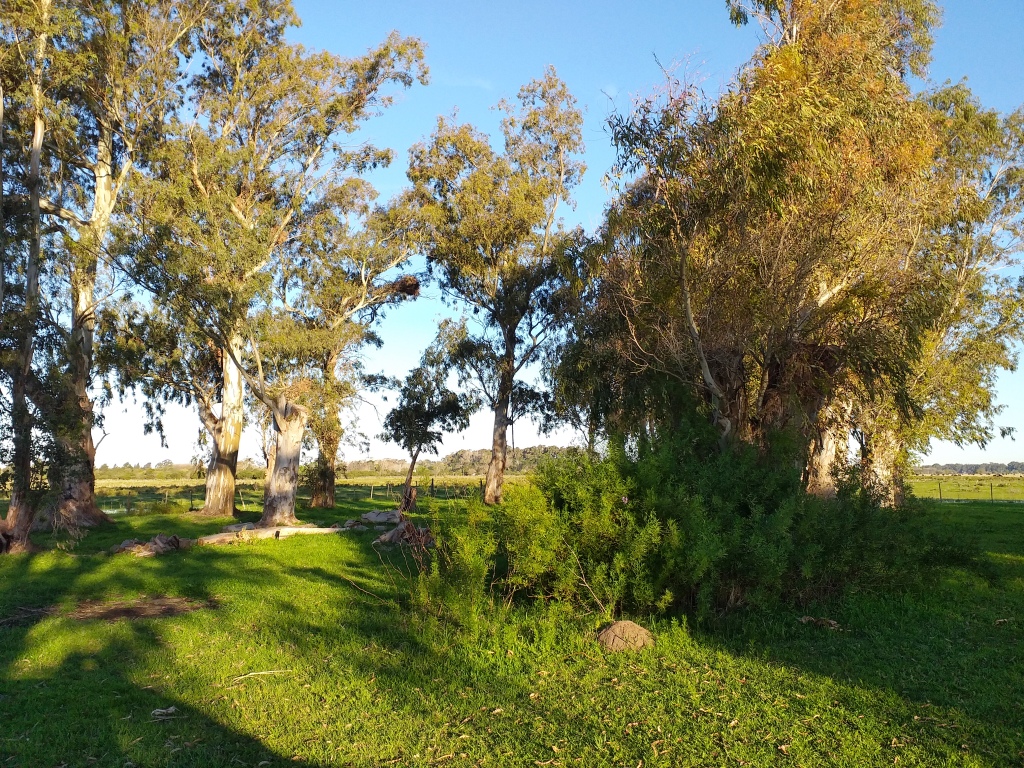 Campo en Venta en Punta Indio