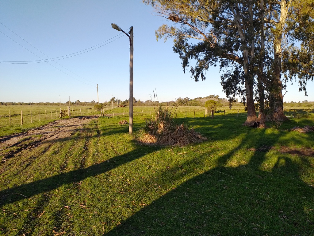 Campo en Venta en Punta Indio