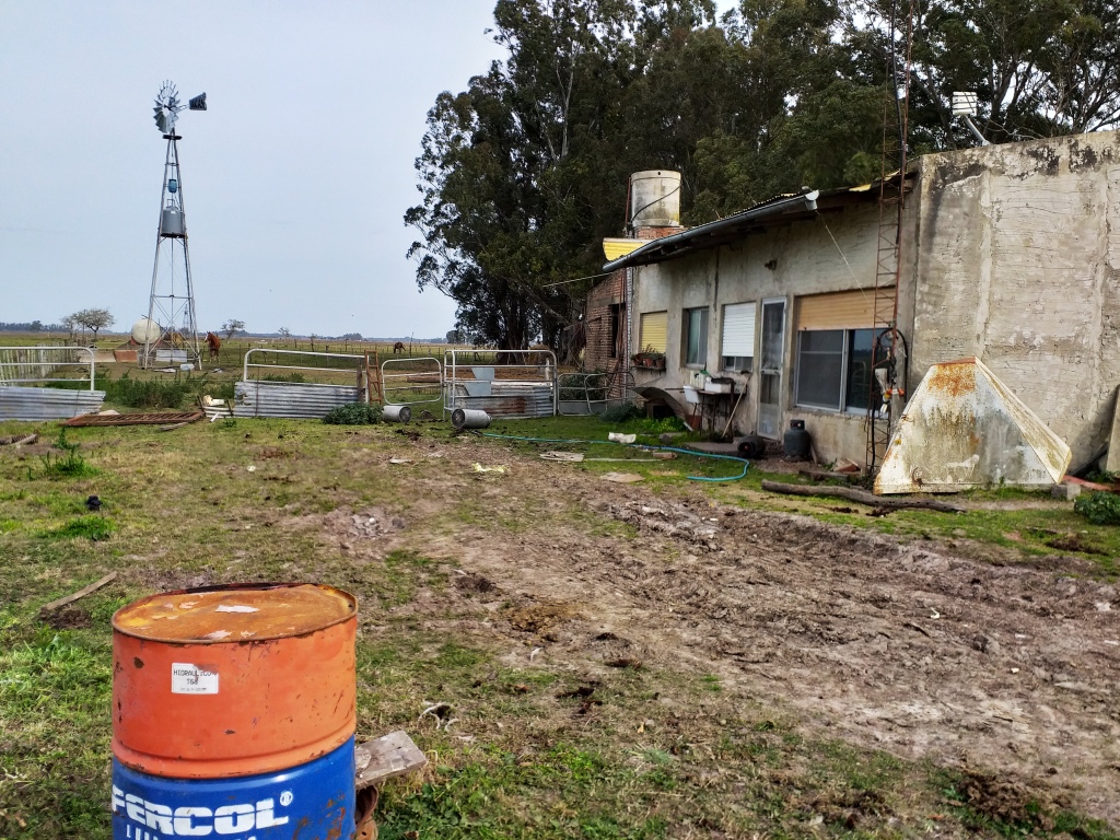 Campo en Venta Punta Indio – 115 hectáreas