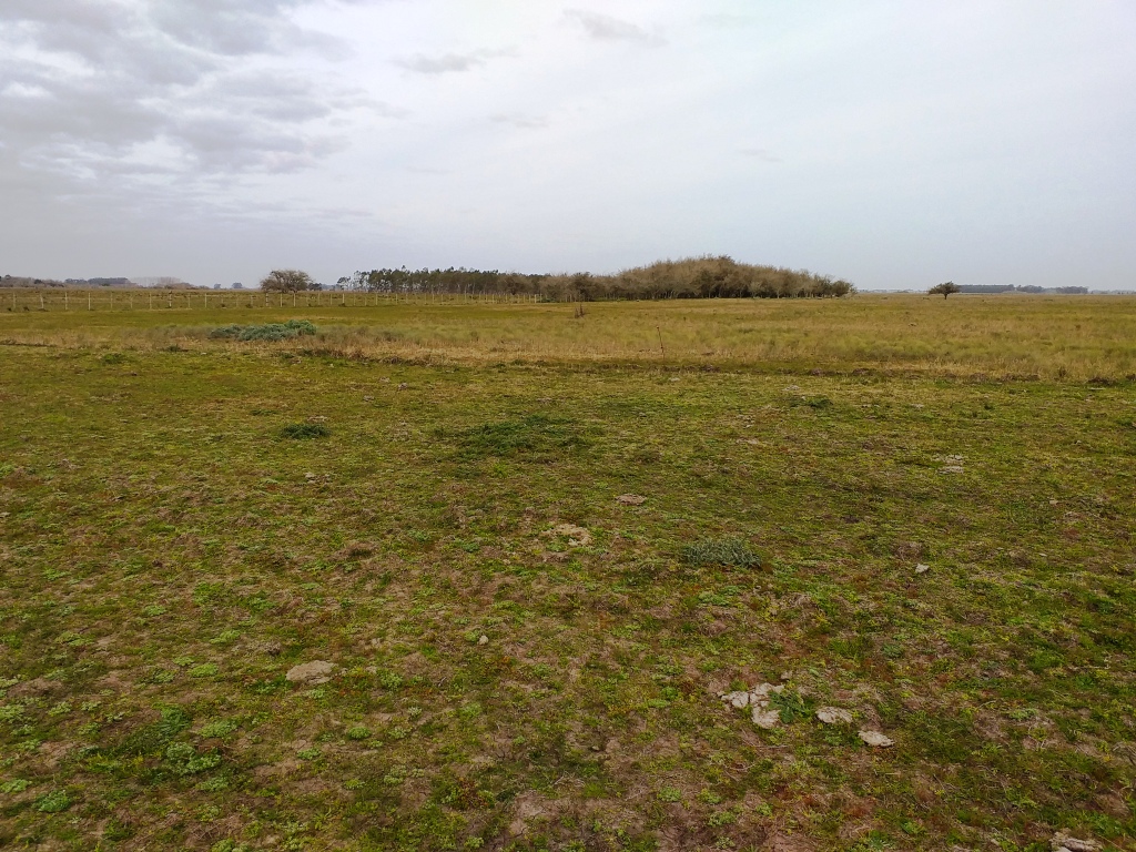Campo 38 Hectáreas en Venta en Verónica – Punta Indio