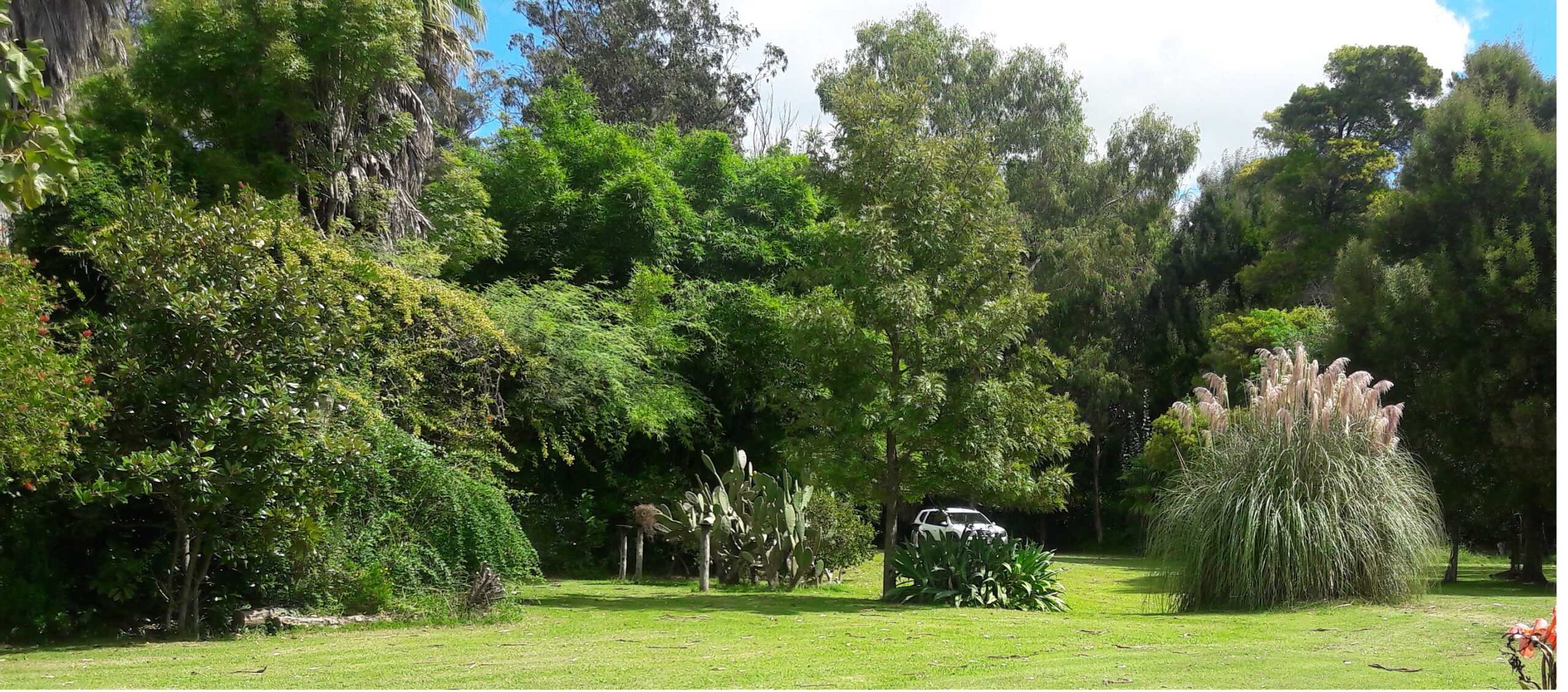 CAMPO en Venta en Punta Indio-Impresionante Arboleda-