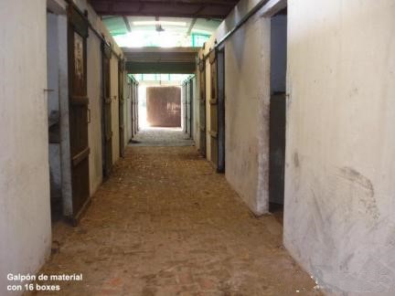 CAMPO GANADERO-CABAÑA-HARAS en Venta en Buenos Aires