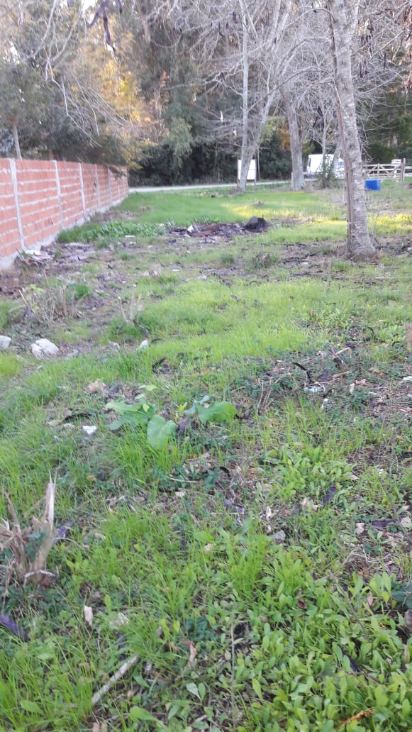 Terreno en Venta en Verónica – Punta Indio