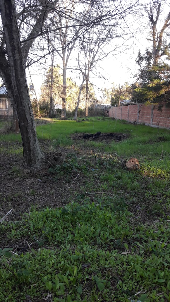 Terreno en Venta en Verónica – Punta Indio