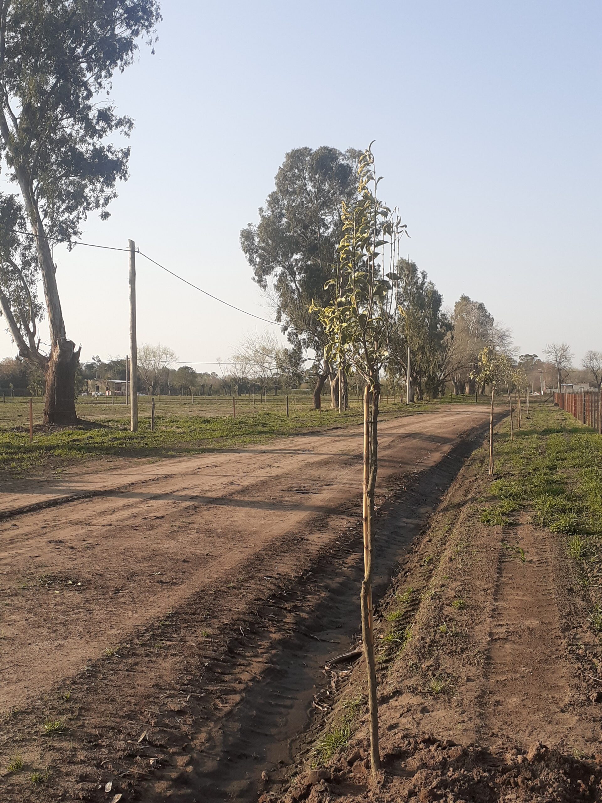 Altos de Beguerie, lotes en Carlos Beguerie (lotes-pueblo e historia),9.900 U$S final escritura incluida