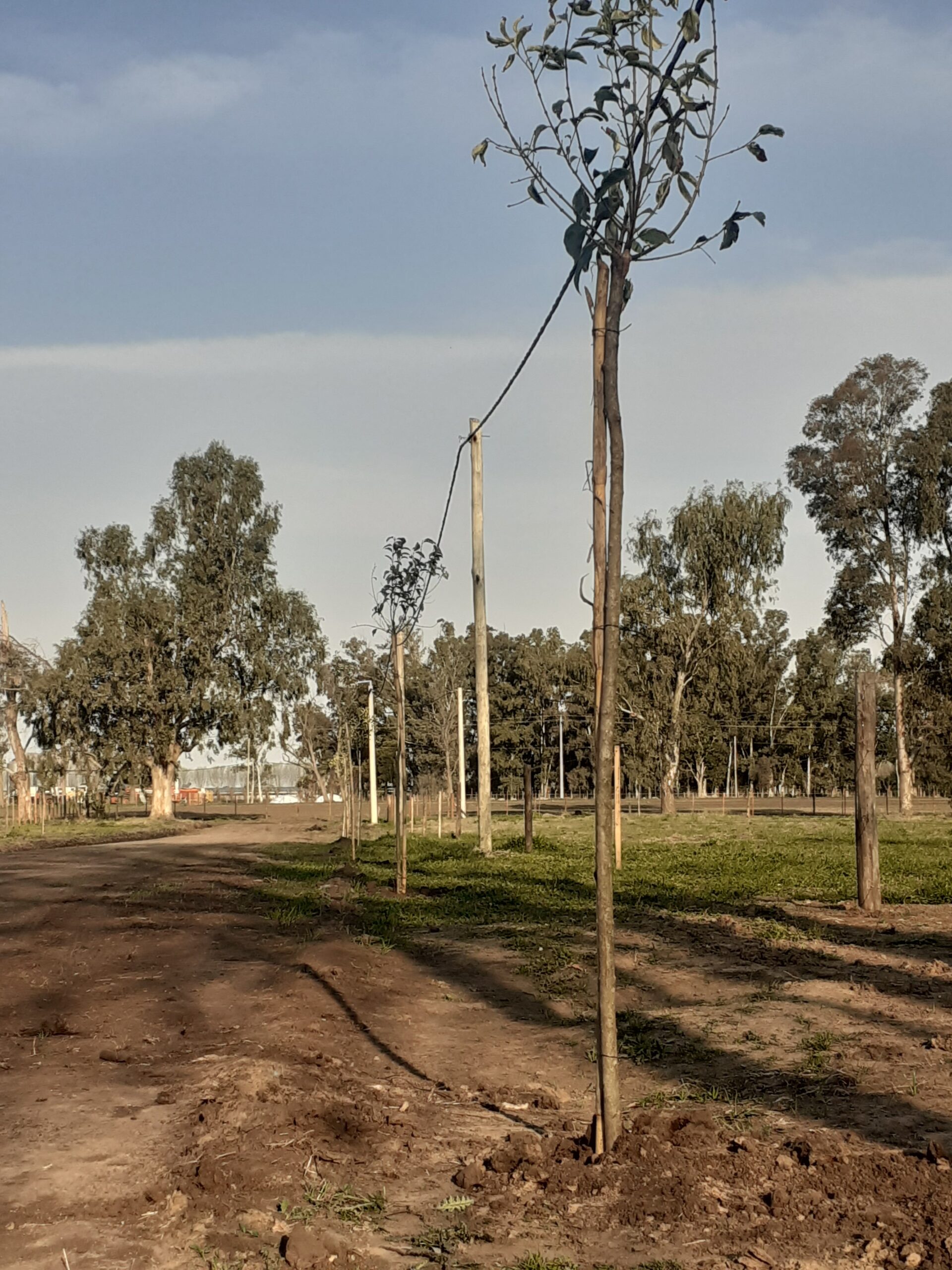 Altos de Beguerie, lotes en Carlos Beguerie (lotes-pueblo e historia),9.900 U$S final escritura incluida