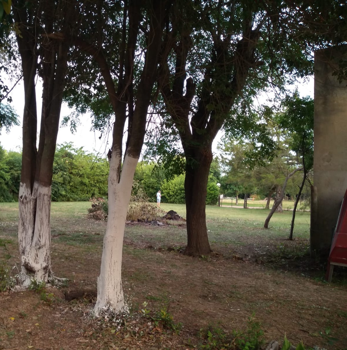 -VENDIDO -3 lotes en bloque en Carlos Beguerie (1400 m2)