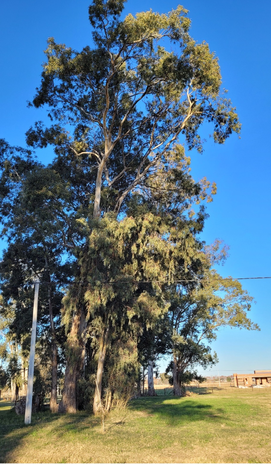Lote De 2700 M2 En Chacras Del Labrador En Saladillo