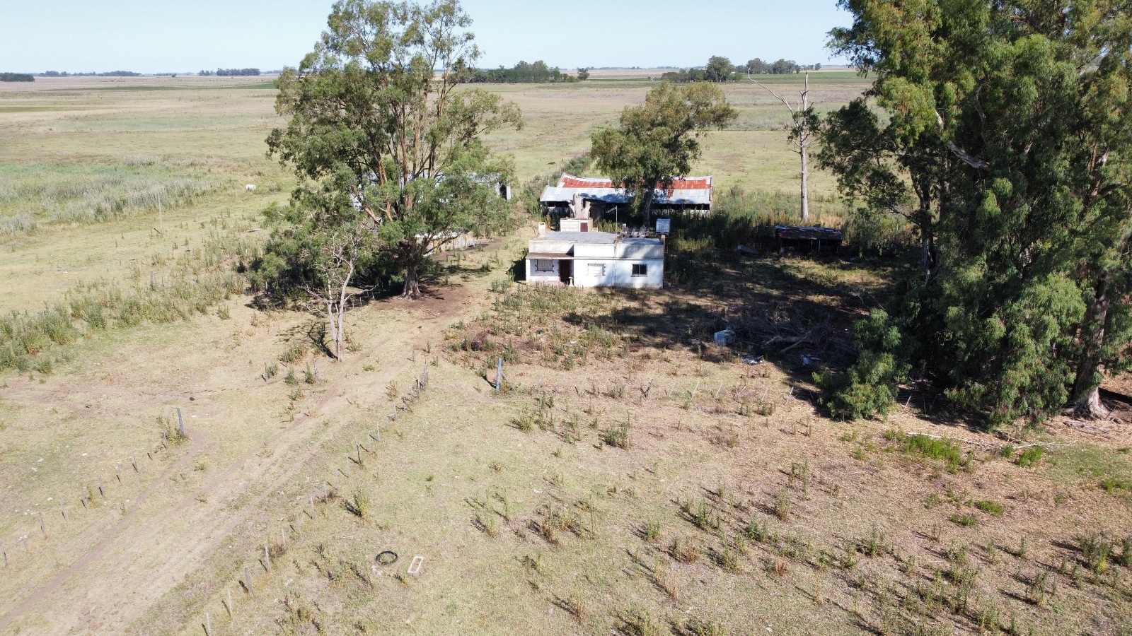 Campo De 29 Has En Roque Perez, Ganadero, Con Casa A Refaccionar, Tinglado, Ex Criadero De Cerdos En Mal Estado