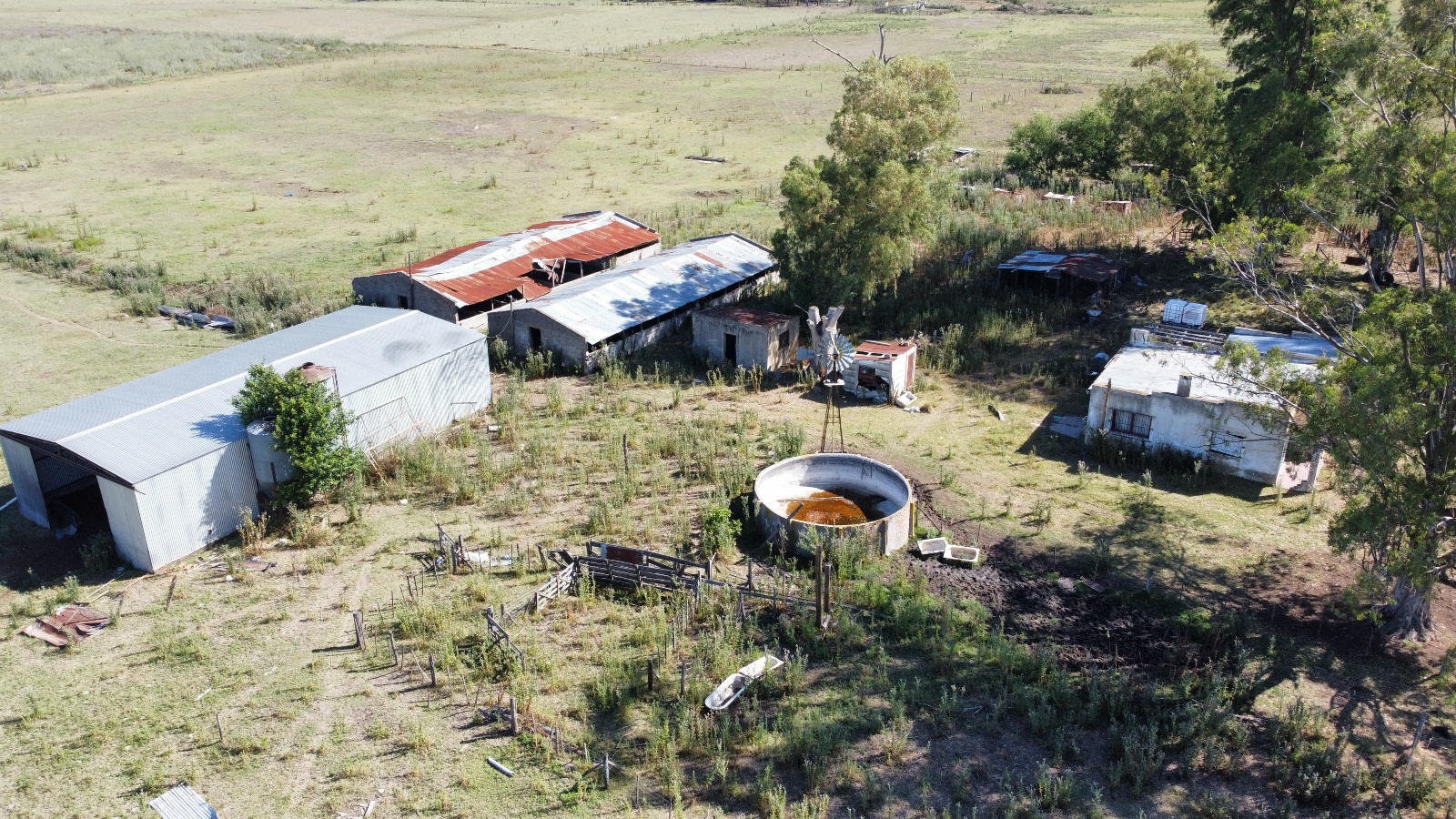 Campo De 29 Has En Roque Perez, Ganadero, Con Casa A Refaccionar, Tinglado, Ex Criadero De Cerdos En Mal Estado