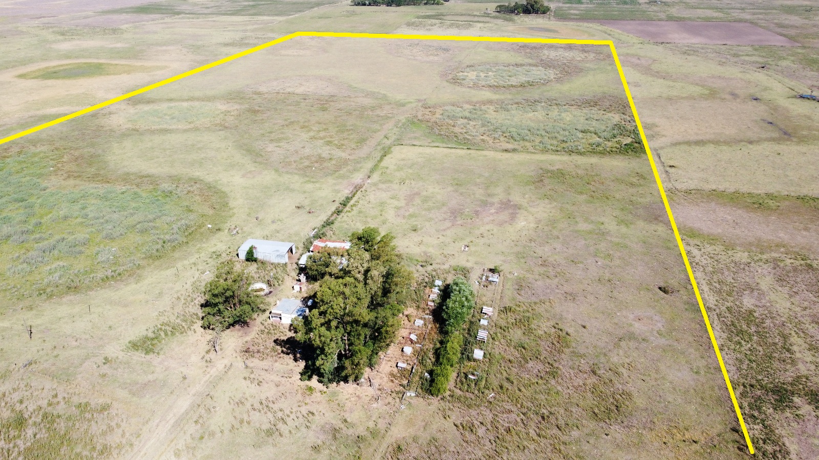 Campo De 29 Has En Roque Perez, Ganadero, Con Casa A Refaccionar, Tinglado, Ex Criadero De Cerdos En Mal Estado