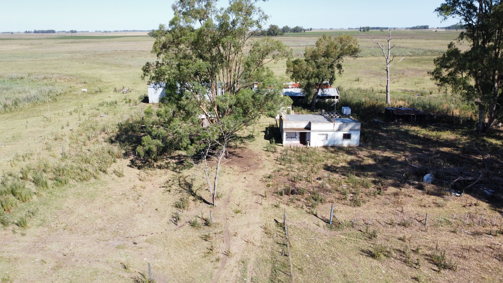 Campo De 29 Has En Roque Perez, Ganadero, Con Casa A Refaccionar, Tinglado, Ex Criadero De Cerdos En Mal Estado