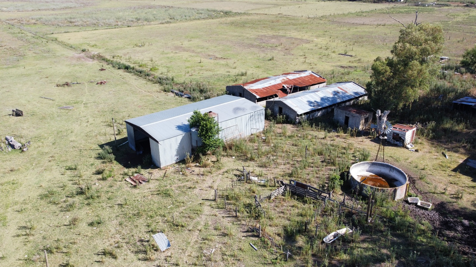 Campo De 29 Has En Roque Perez, Ganadero, Con Casa A Refaccionar, Tinglado, Ex Criadero De Cerdos En Mal Estado