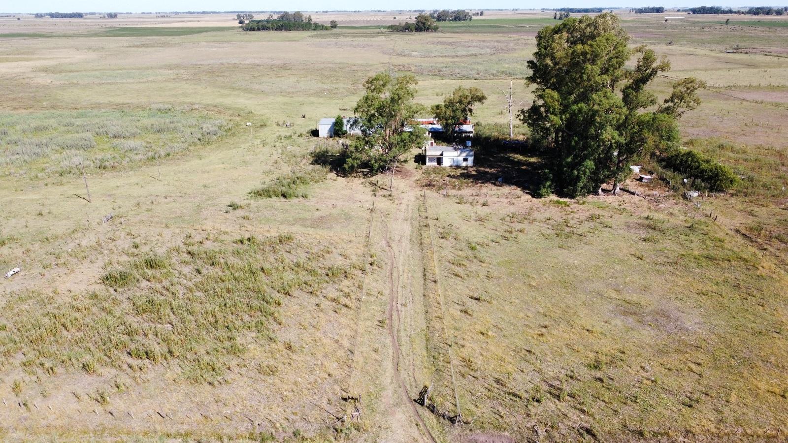 Campo De 29 Has En Roque Perez, Ganadero, Con Casa A Refaccionar, Tinglado, Ex Criadero De Cerdos En Mal Estado